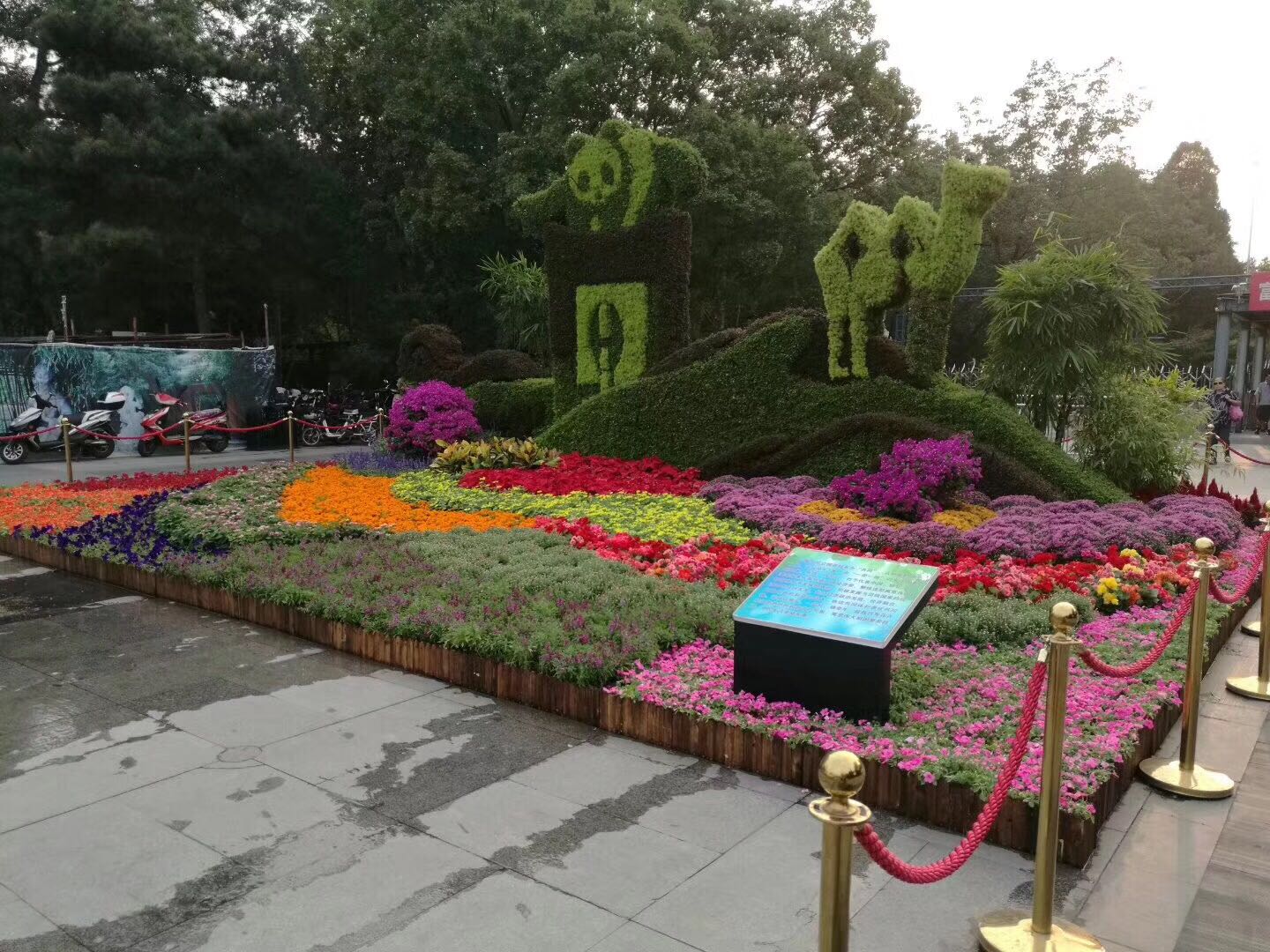节日花坛