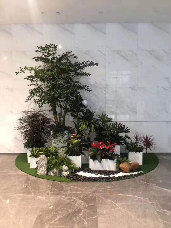 造型组合（北京绿植租赁）