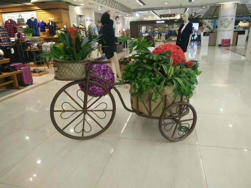 天虹商场花卉