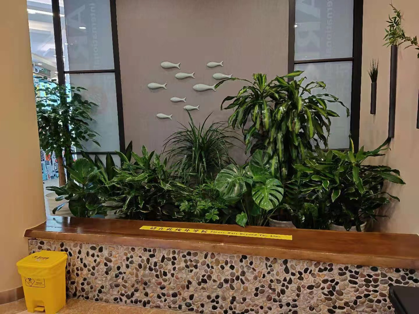 立体绿化